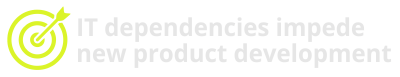 IT dependencies impede new product development